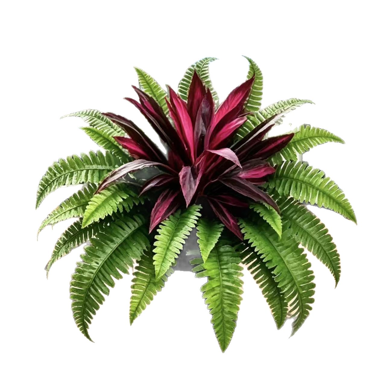 💥Summer Special🔥UV-Resistant Artificial Fern & Red Dracaena Decorative Plants – Full, Lush & Fade-Resistant!