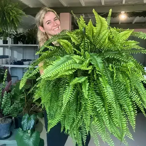 🌿So real, you’ll try to water it☀️ Sun won’t fade it, rain won’t ruin it – outdoor‑ready artificial fern!   🛡️